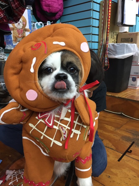 Gizmo