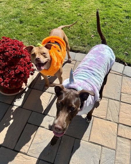 Ellie & Mia 