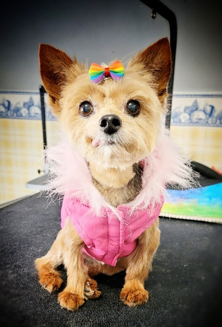 Kiki Monster