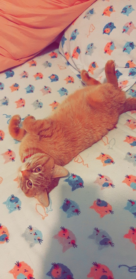 Clementine