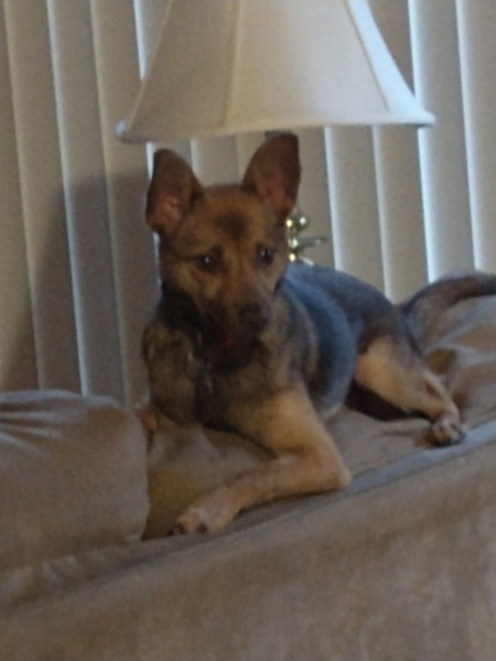 Zoey