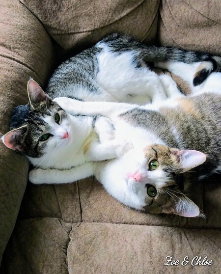 Chloe & Zoe