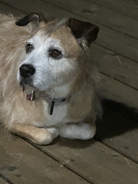 Sadie
