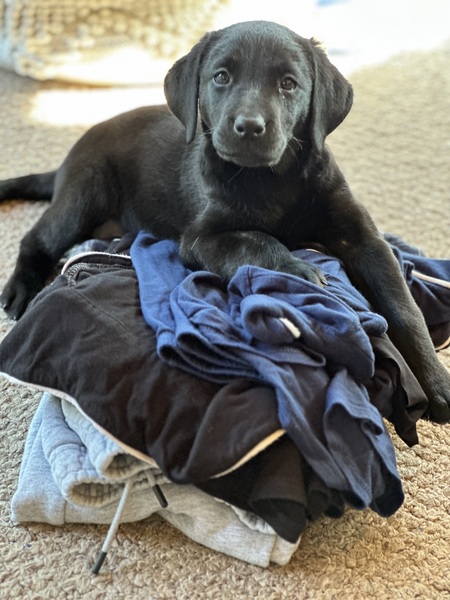 Maisy Mae