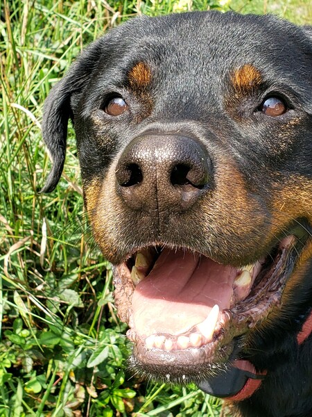 Max