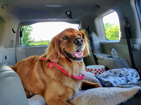 Finnegan Reiter Kosmach