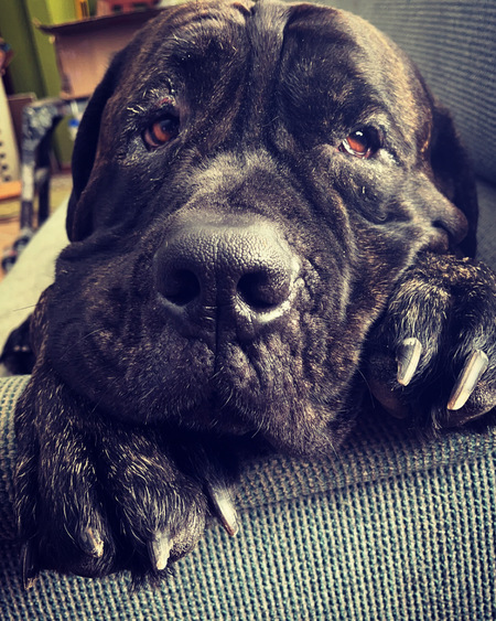 Capone