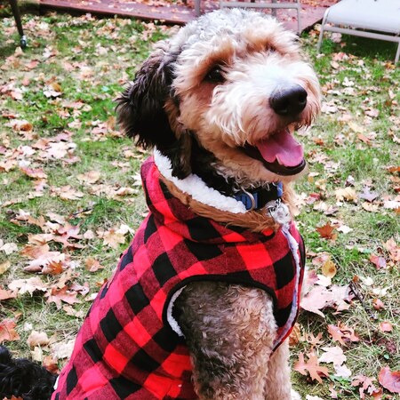 Doug