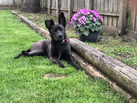 Luna