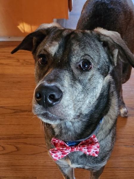 Leroy