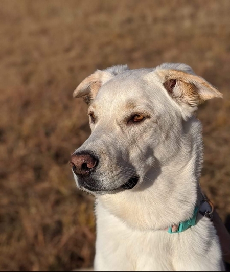 Nora