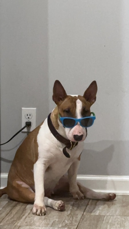 Charlie