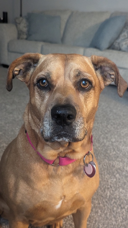 Ethel