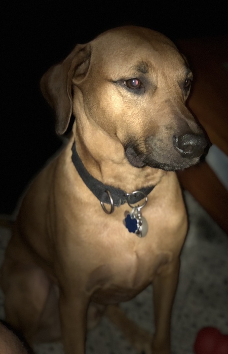 Jethro