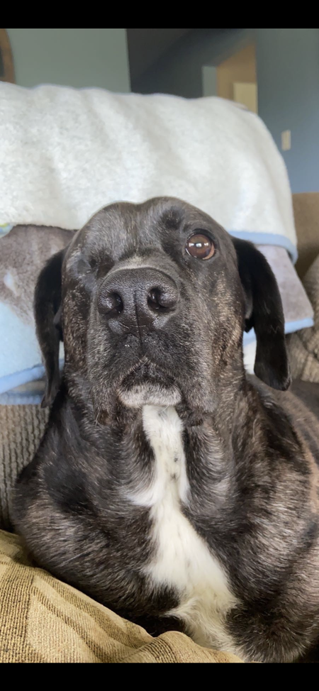 Finn