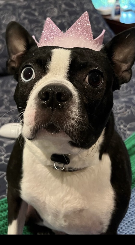 Molly