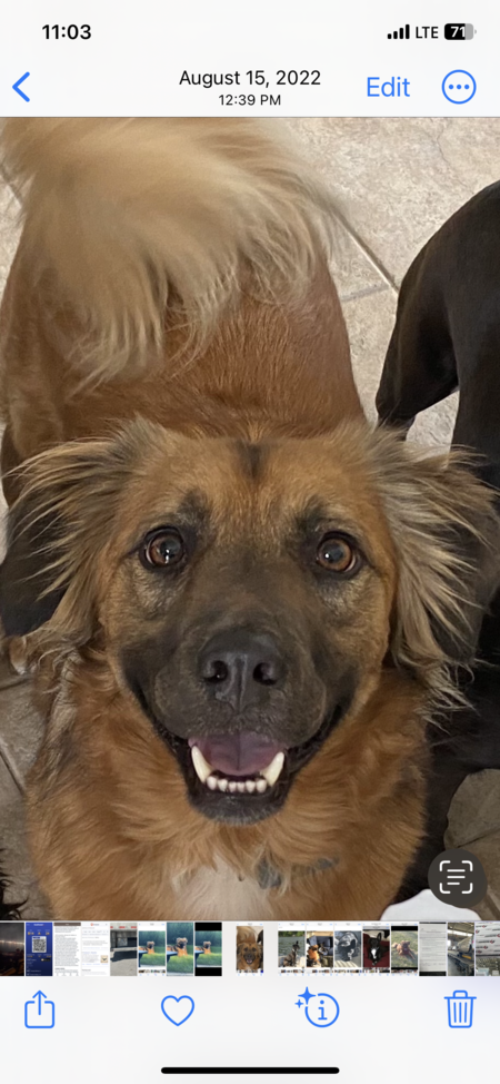 Copper