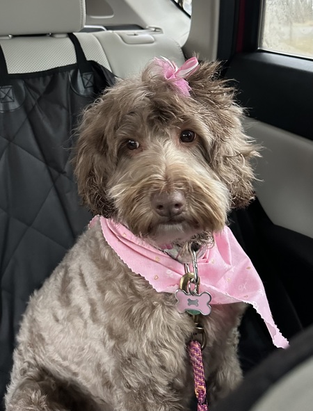 Rosie