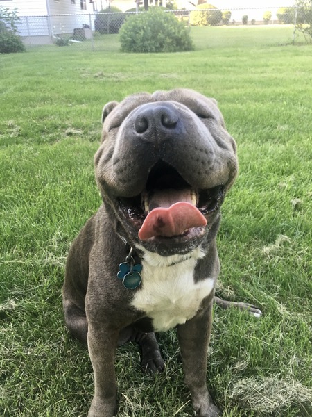 Truman 