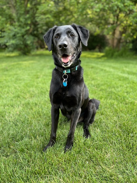 Jake