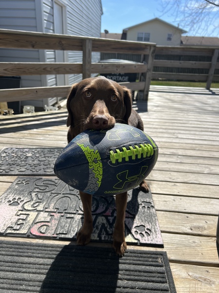 Tootsie
