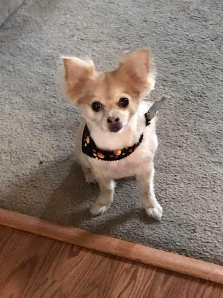 Ellie