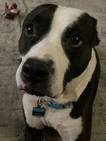 Charlie