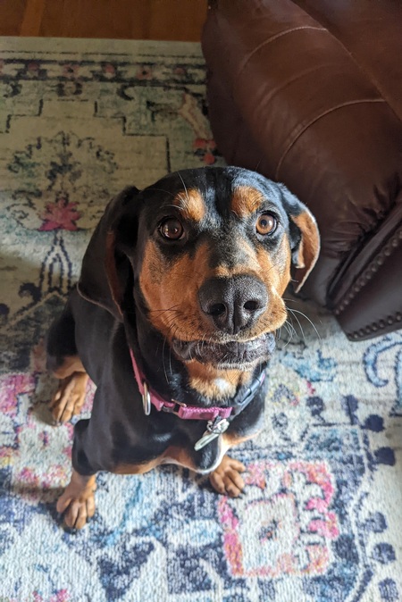 Penny
