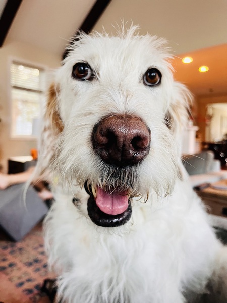 Casper 