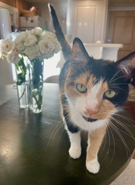 Ella <3