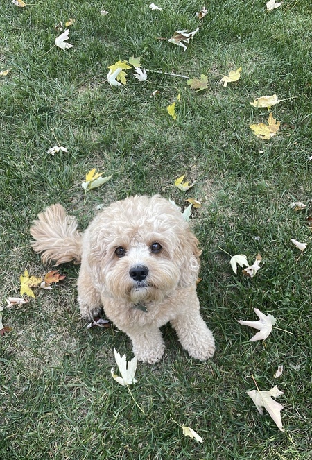 Quincy