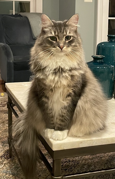 Floof