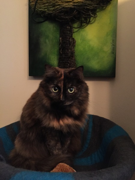 My Sweet Girl