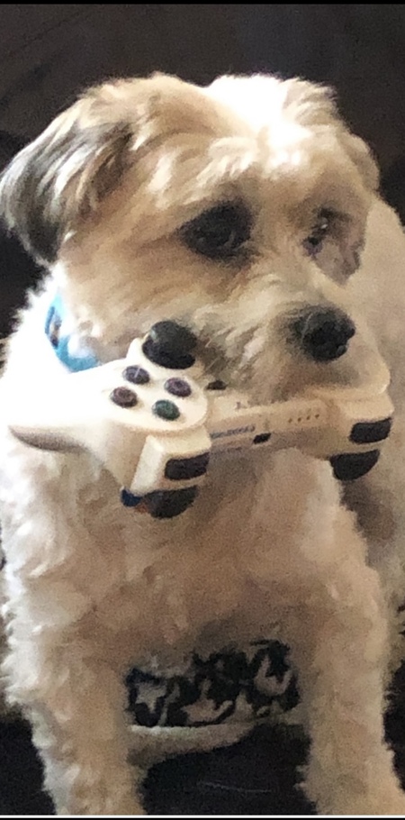 Billy