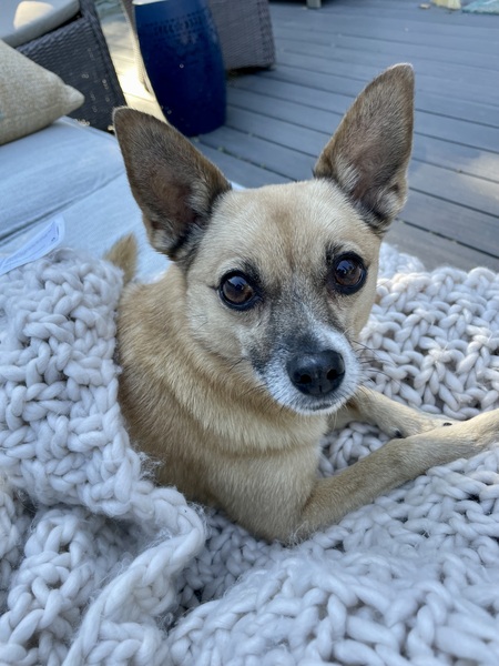 Bella