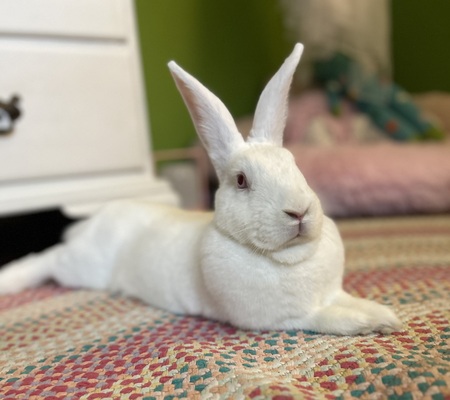 Winnie