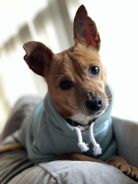 Lucy
