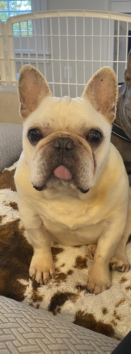 Stanley