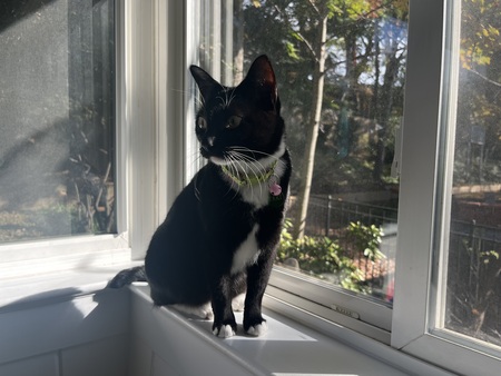 Taki