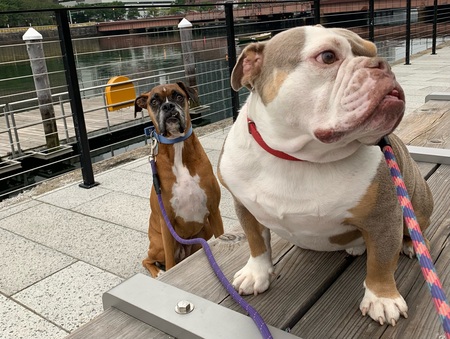 Memphis and Winnie 