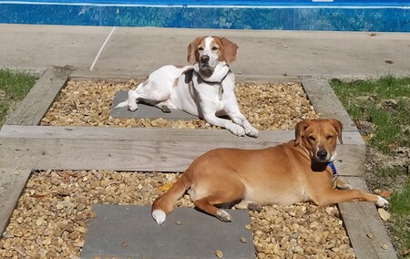 Tully and Maddie