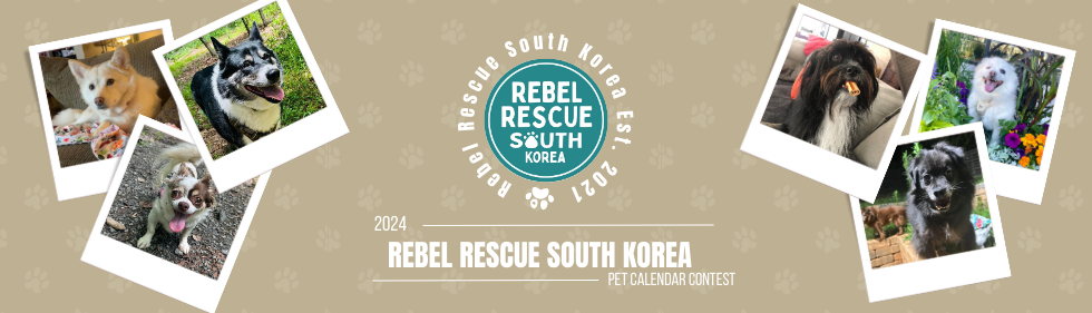 Banner for Rebel Rescue South Korea Pet Calendar Contest