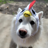 Entry image for Cloud