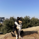 Entry image for Sponge