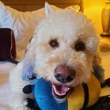 Entry image for Chiky