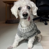 Entry image for Harry