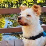 Entry image for Benjamin