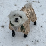 Entry image for Bella