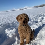 Entry image for Lina