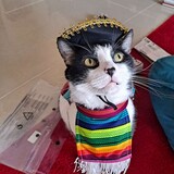 Entry image for Mr. Popo